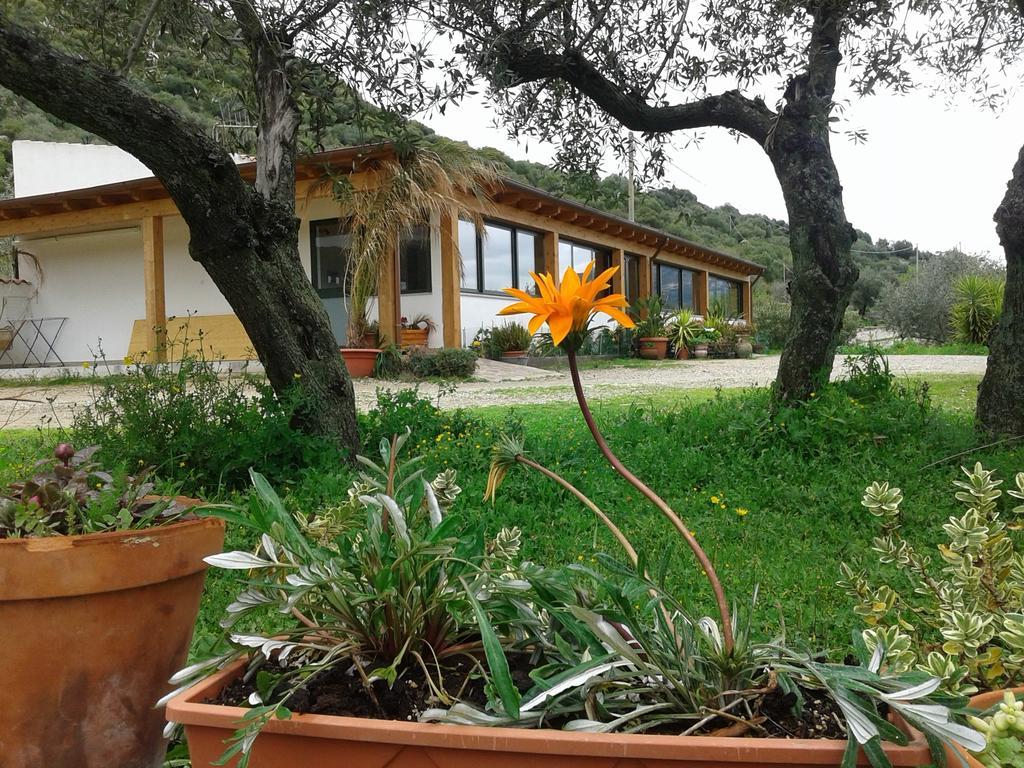 Agriturismo Locoe Villa Oliena Exterior foto