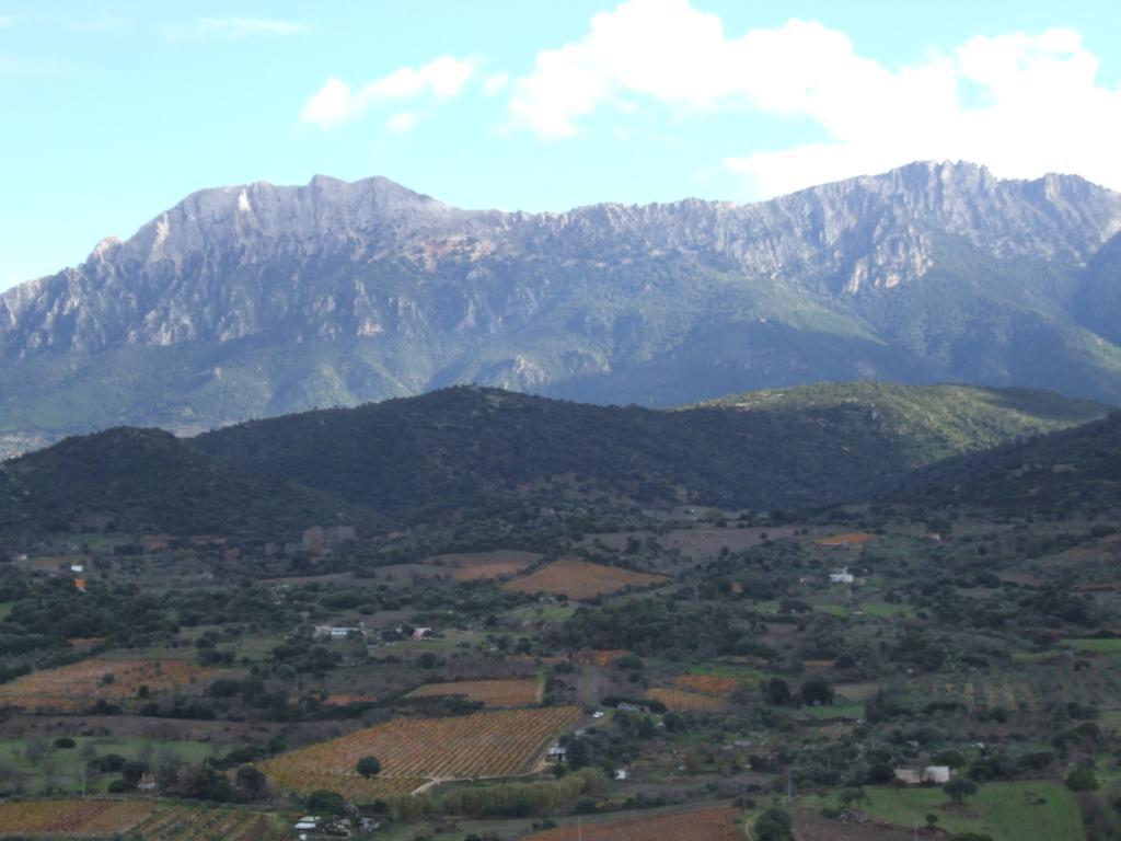 Agriturismo Locoe Villa Oliena Exterior foto